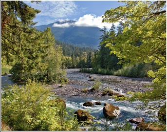 Elwha Upstream 14X11
