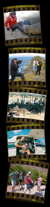 Location photos including Africa, Baja, The Falkland Islands, South Georgia and Botswana