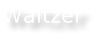 Waltzer