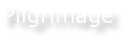 Pilgrimage
