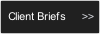 Client Briefs.