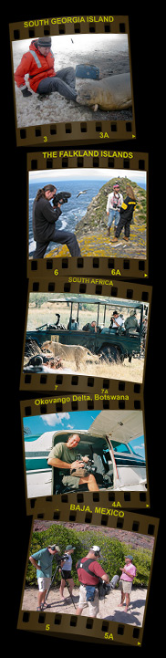 Location photos including Africa, Baja, The Falkland Islands, South Georgia and Botswana